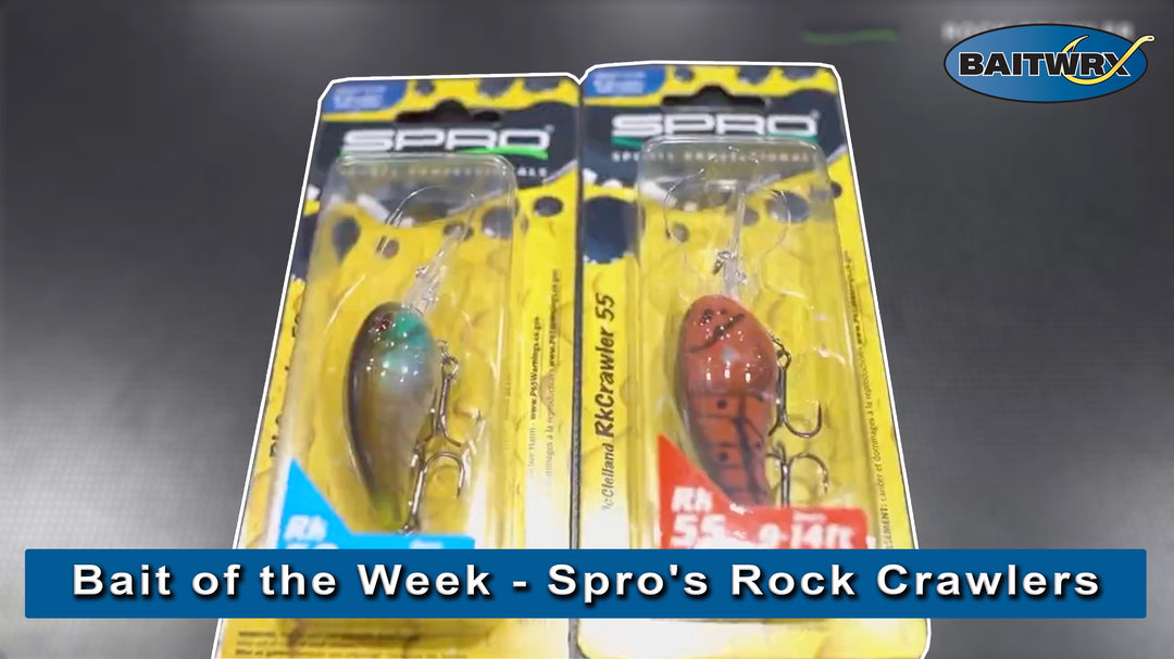 Bait of the Week - Spro's Rock Crawlers