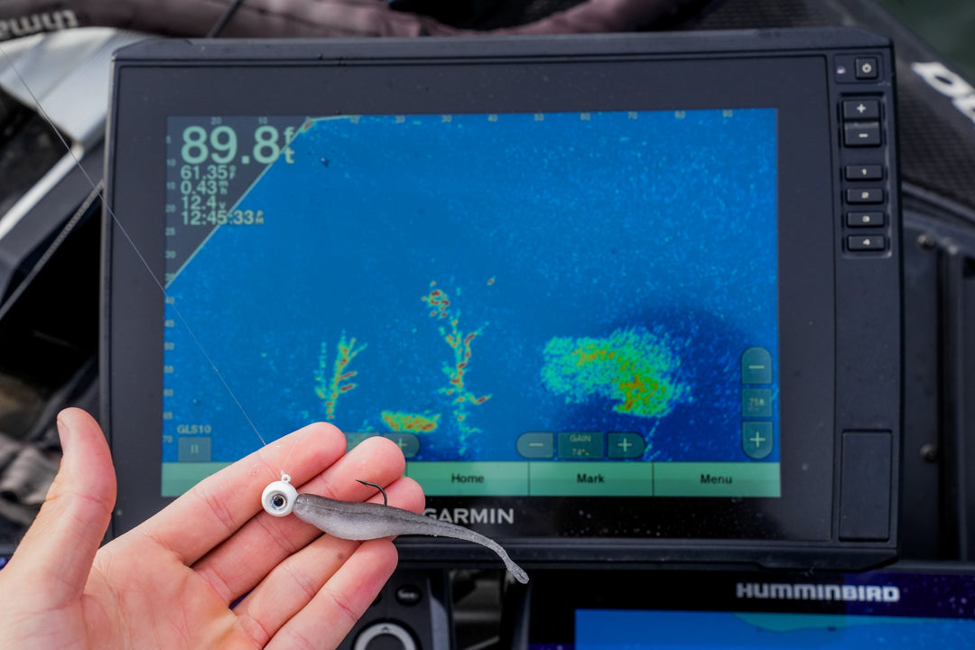 The Impact of Forward-Facing Sonar on Fishing Tackle and Angler Behavior
