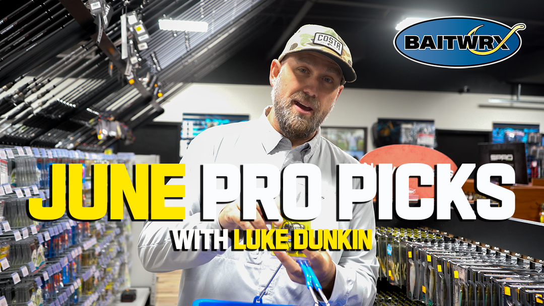 Luke Dunkin's June Pro Picks