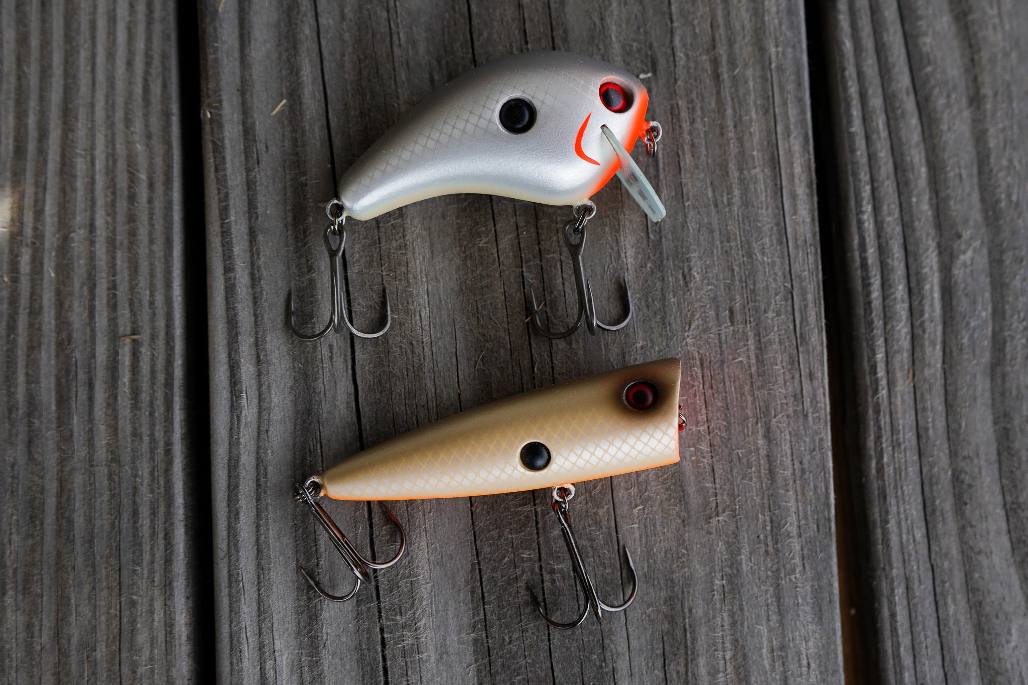 Custom Baits