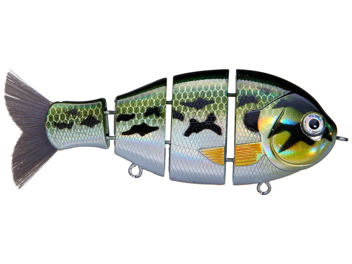 Bucca Baby Bull Gill 3.75" Swimbait