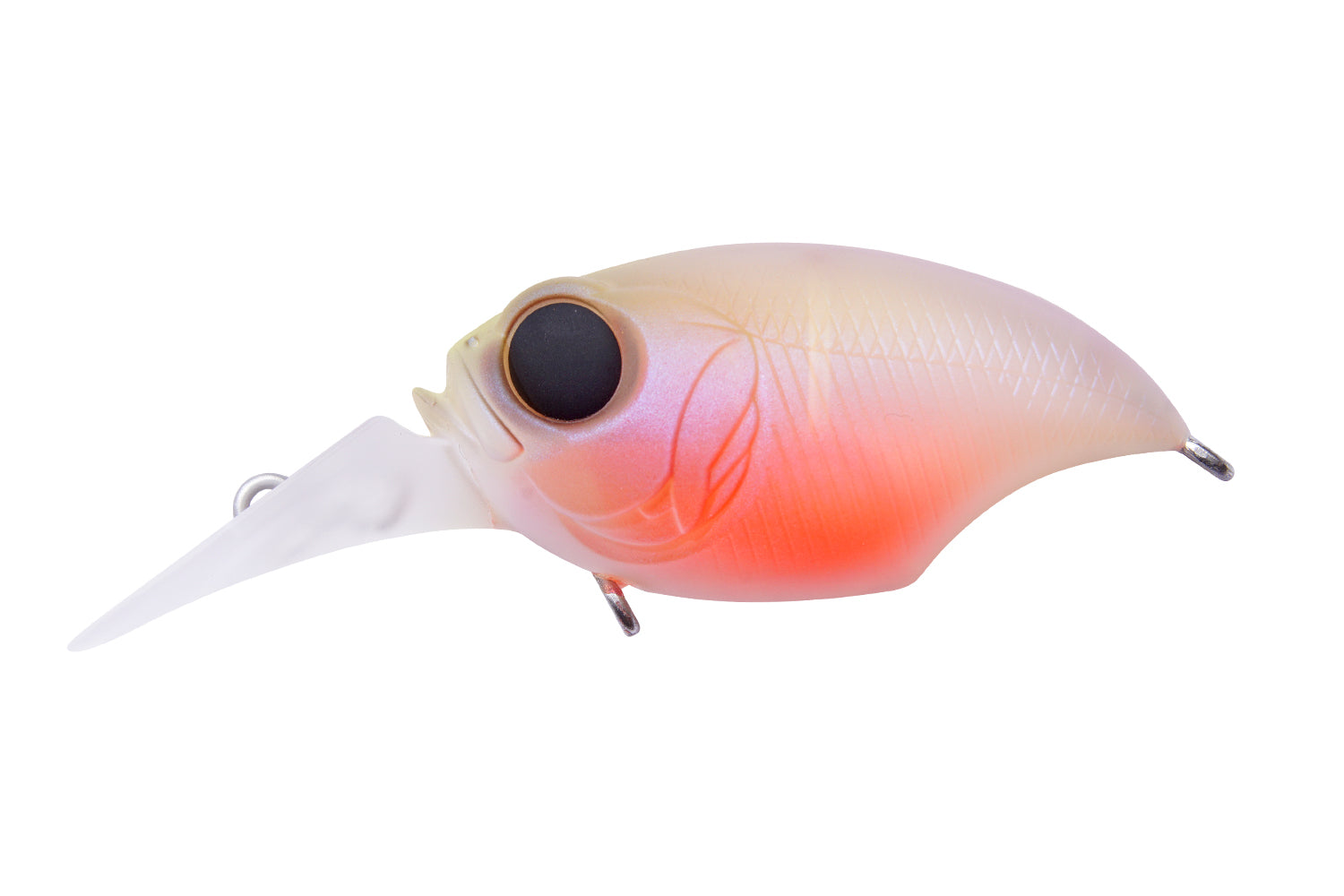 Megabass Griffon SRX 6個セット新品未使用 Megabass SR-X Griffon - Bait-WrX