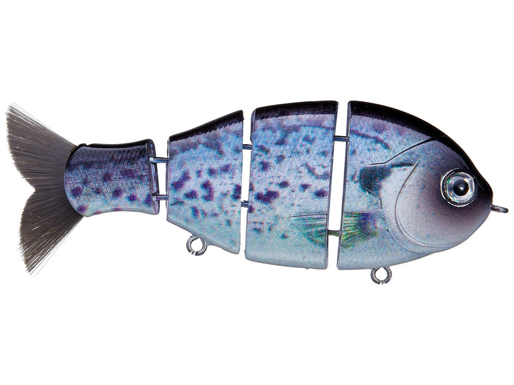 Bucca Baby Bull Gill 3.75" Swimbait