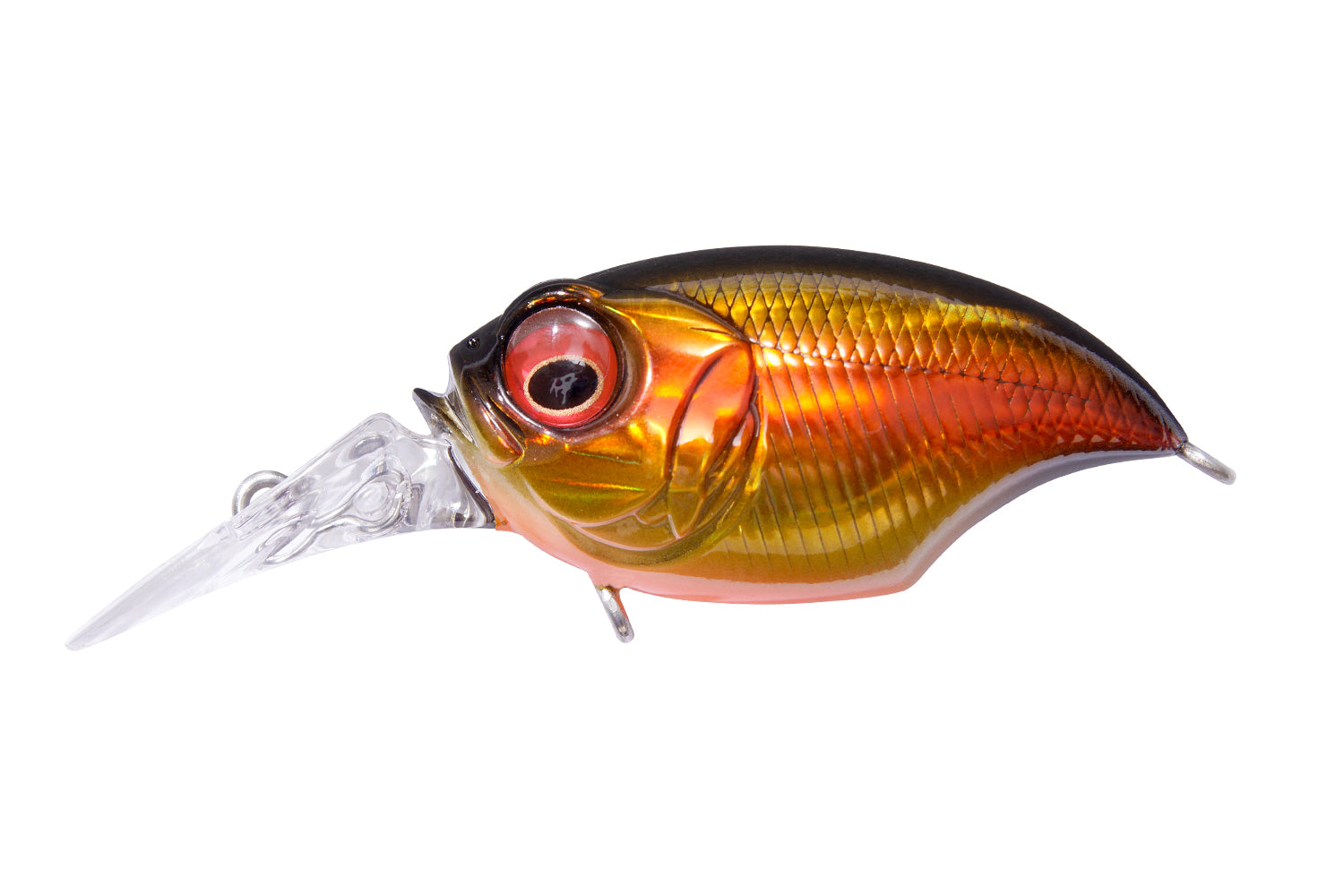 SR-X GRIFFON SHIBUKIN TIGER シブキンタイガー SHIBUKIN TIGER 期間限定完全受注生産 | Megabass - メガバス