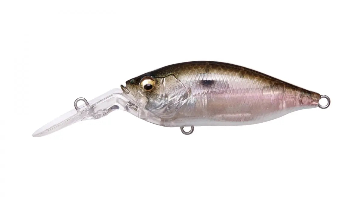 予約：7月末～8月末発送】DEEP-X 100 LBO(ディープX 100 LBO) M
