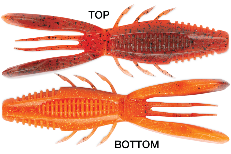 Rapala Crush City 4" Bronco Bug (6 Pk)
