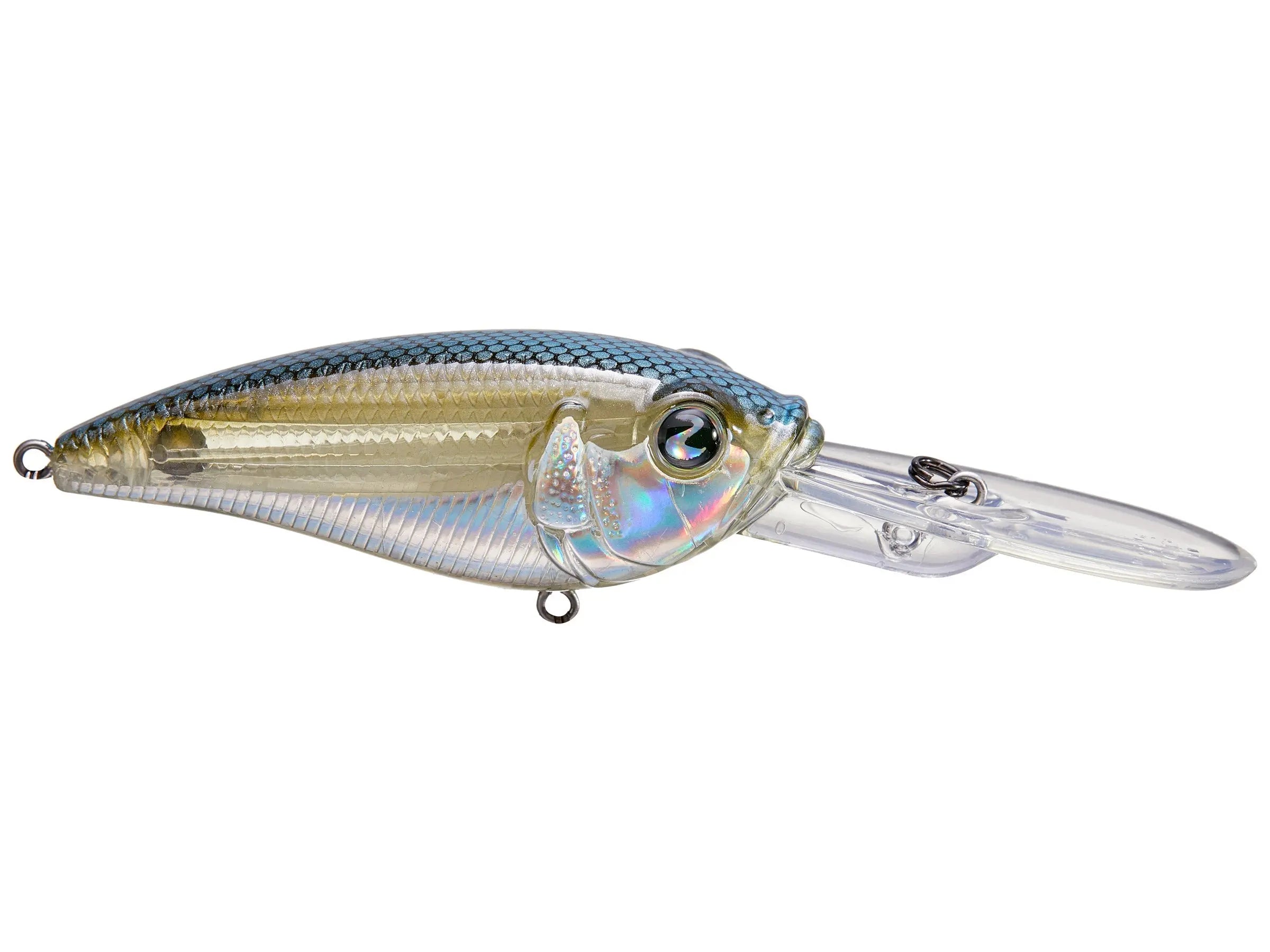 Baits - Bait-WrX – Page 8