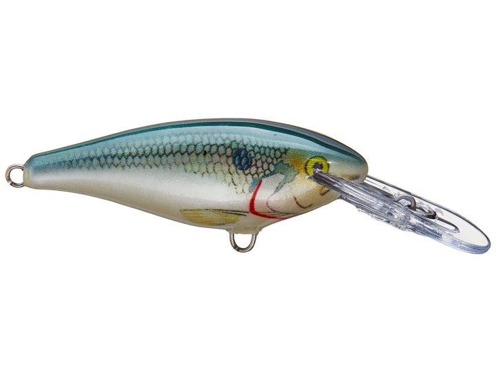 Rapala Shad Rap 7 Crankbaits