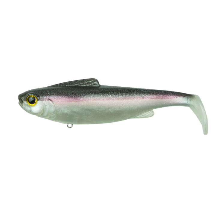 Clearwater Shad