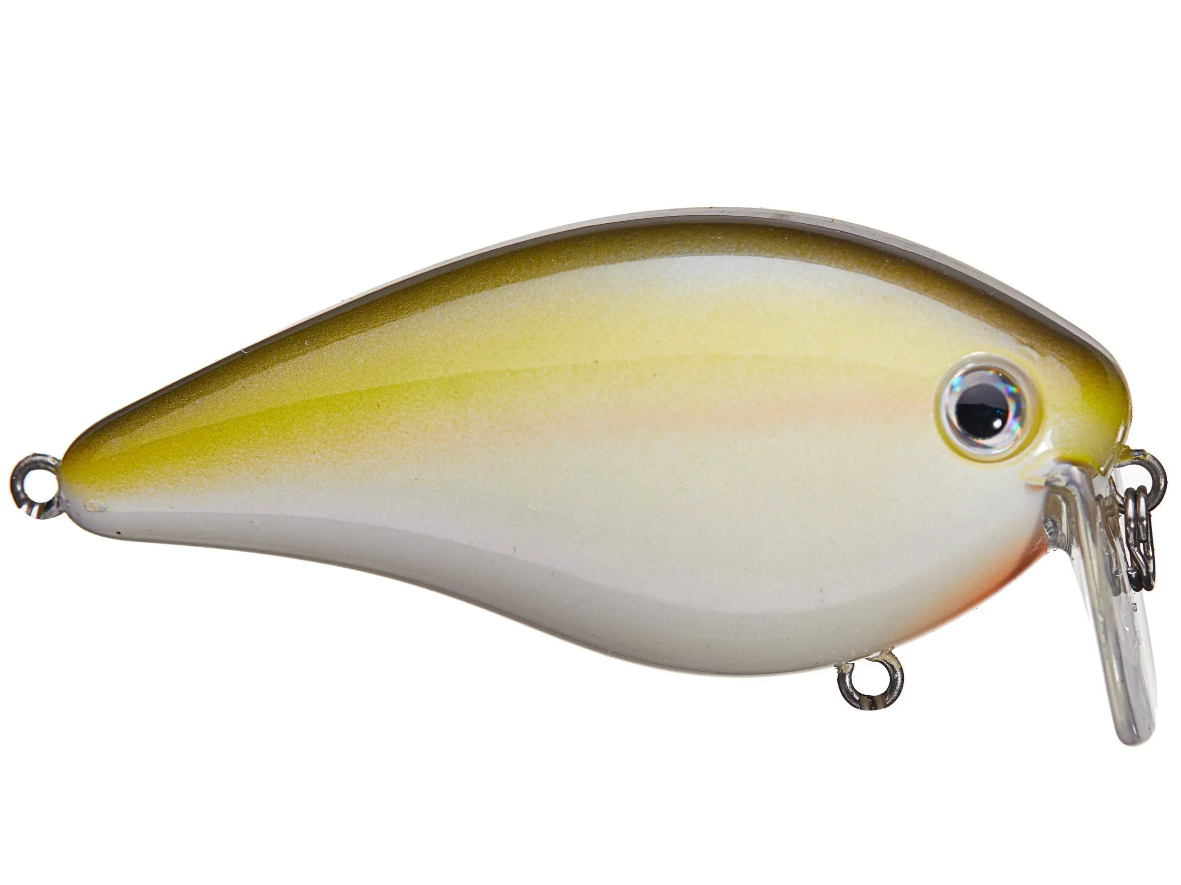 ベアVSマン2 カリブ Hard Baits - Bait-WrX – Page 14
