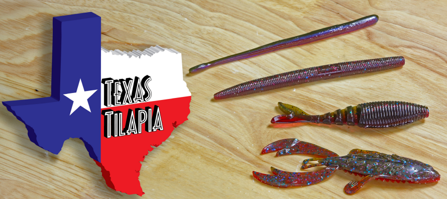 Big Bite 4" Rojas Fighting Frog (25 Pk)