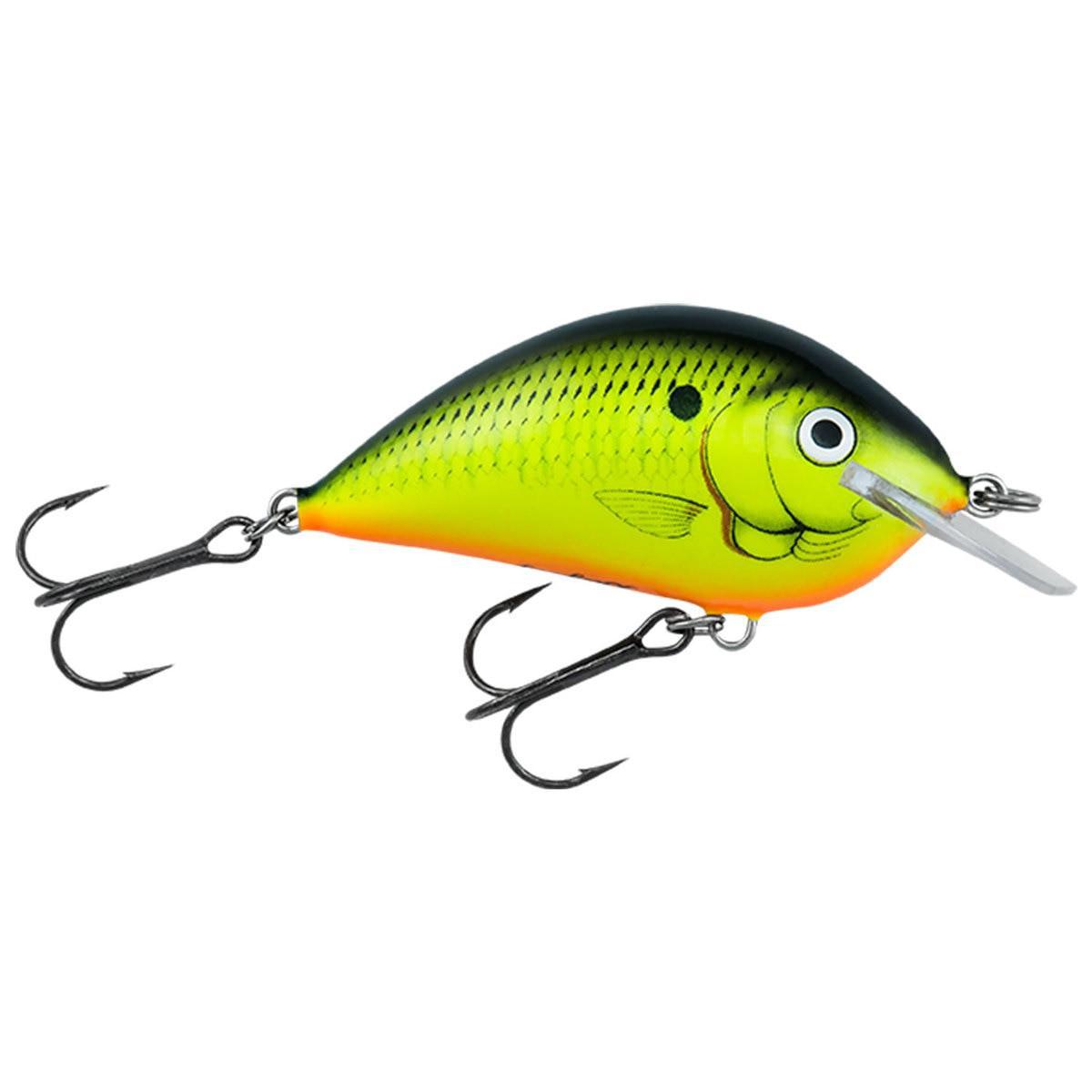 Bagley Sunny B Bait WrX