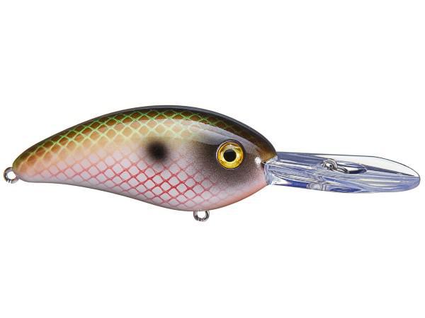 Bomber Fat Free Shad Jr.